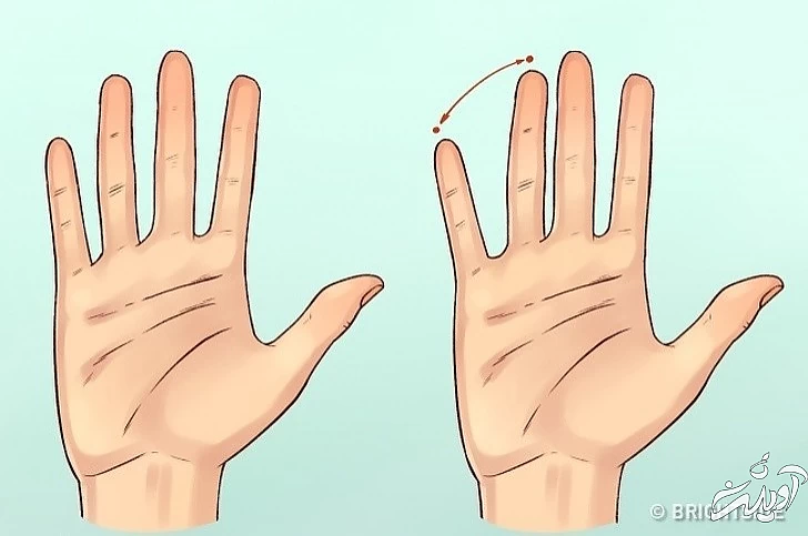 ۸ عضو بدن که بیانگر ویژگیهای شخصیتی هستند ۸ عضو بدن که بیانگر ویژگیهای شخصیتی هستند